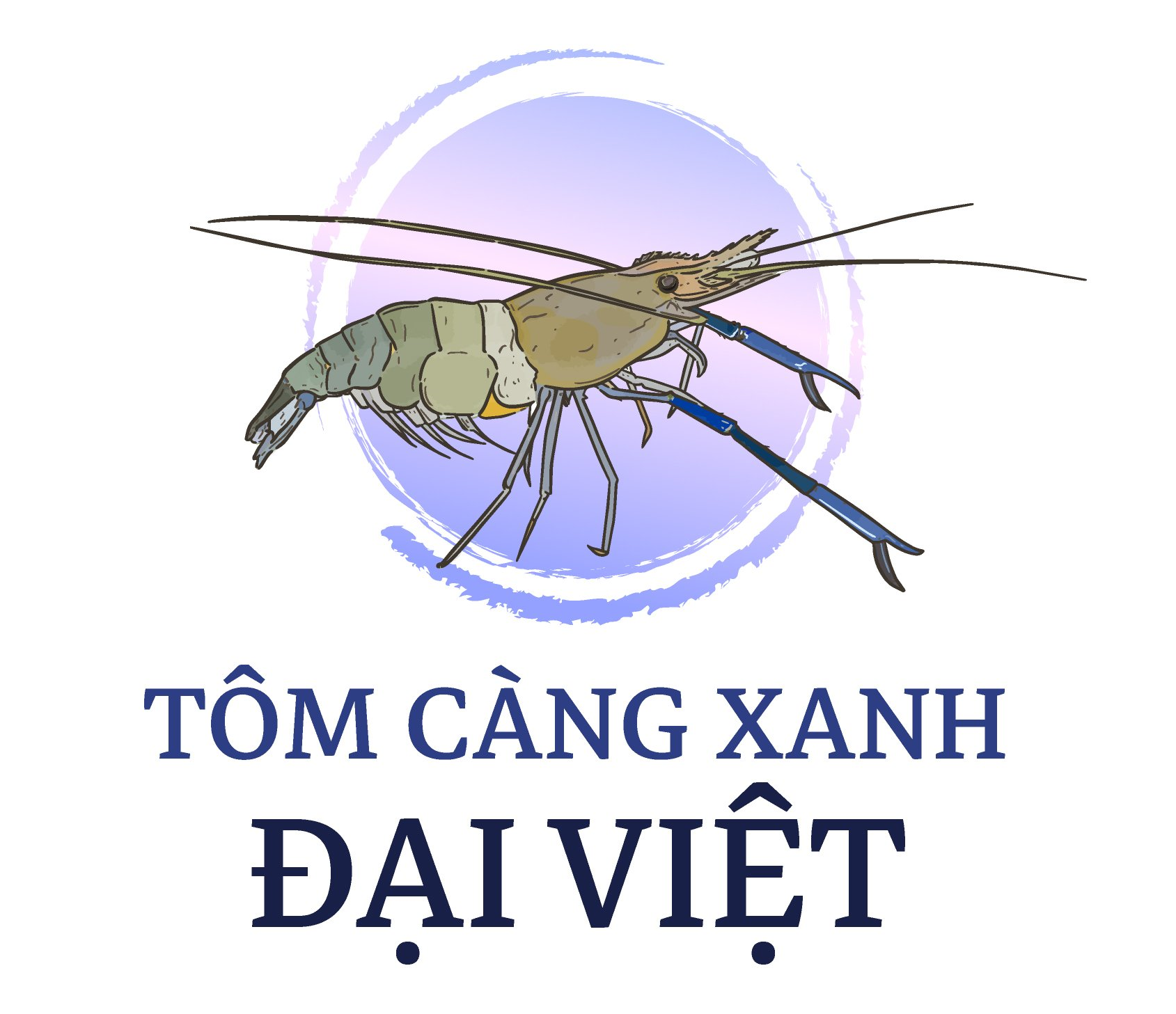 Tôm Càng Xanh Đại Việt